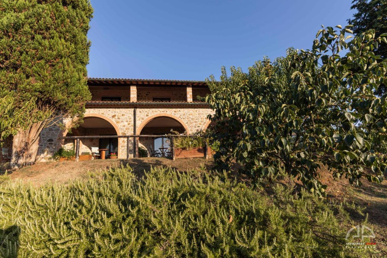 Villa Sant Anna Sassetta Eksteriør bilde